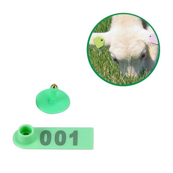 Хонь, ямаа, гахайн ээмэг